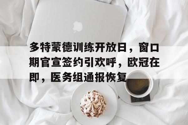 满冠体育下载-多特蒙德训练开放日，窗口期官宣签约引欢呼，欧冠在即，医务组通报恢复的简单介绍
